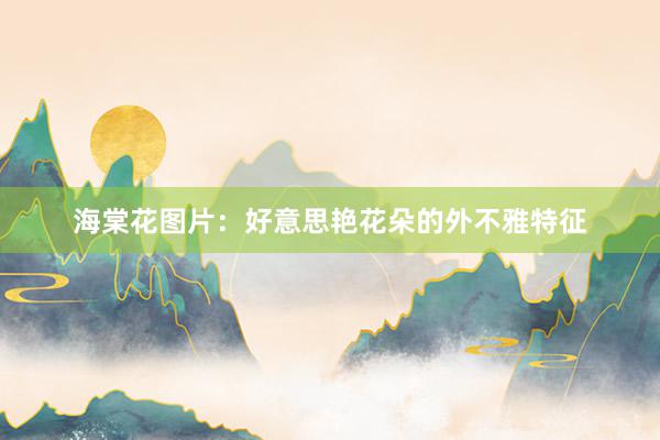 海棠花图片：好意思艳花朵的外不雅特征